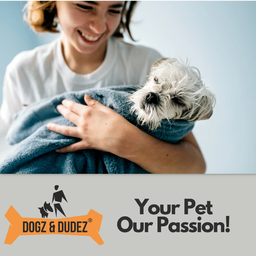 DOGZ & DUDEZ Coconut Shampoo for Dogs and Cats image 9