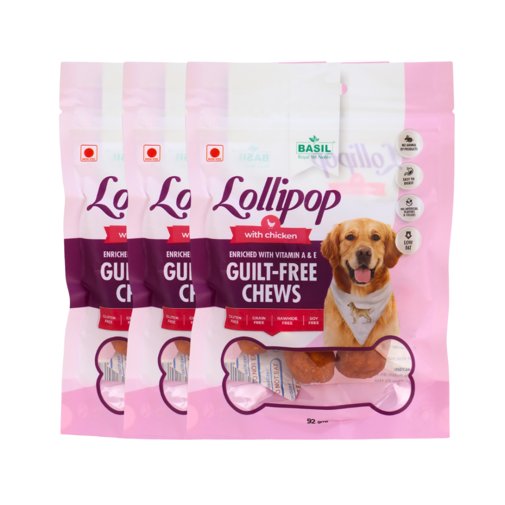 Basil Lollipop with Chicken Dog Chew Treat image 5