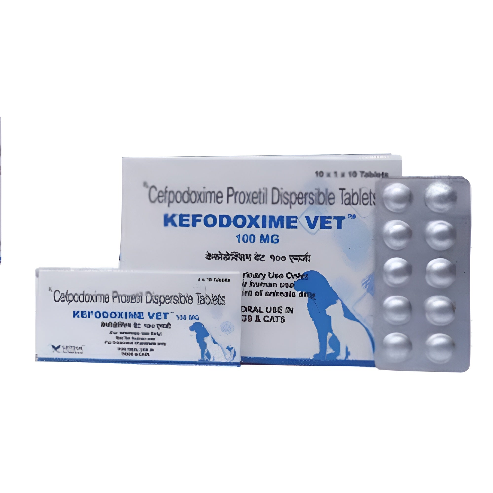 Vetina Kefodoxime Vet 100mg (Cefpodoxime Proxetil) Tablet for Dogs and Cats