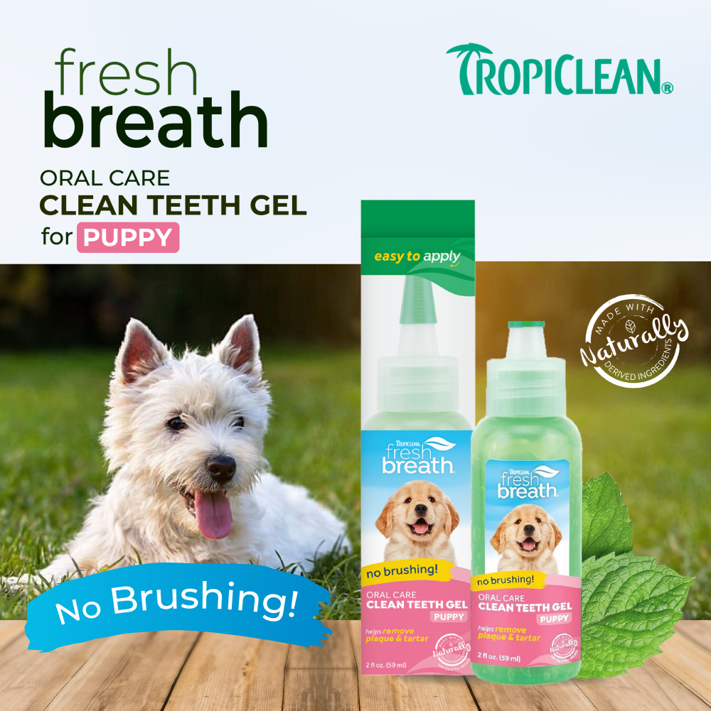 Tropiclean Fresh Breath Puppy Clean Teeth Gel for Dogs image 6