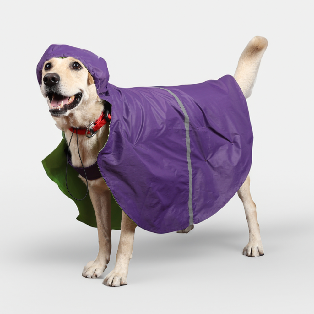 Skatrs Full Coverage Cape Style Raincoat for Dogs and Cats (Purple) image 3