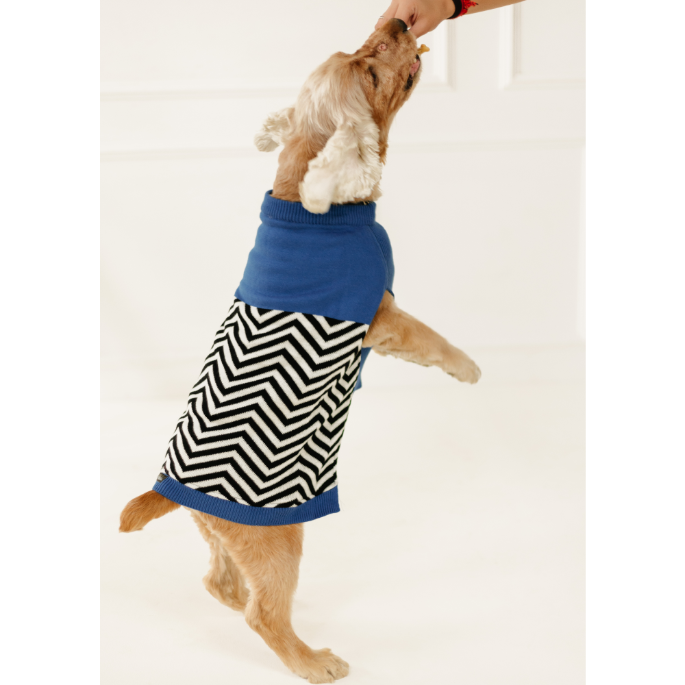 Pet Set Go Raisin’s Sweater for Dogs and Cats (Blue & Black) image 2