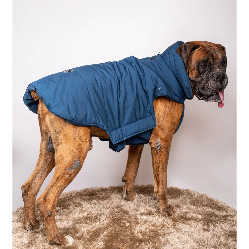 Petsnugs Water Resistant Jackets for Dogs and Cats (Blue) image 4