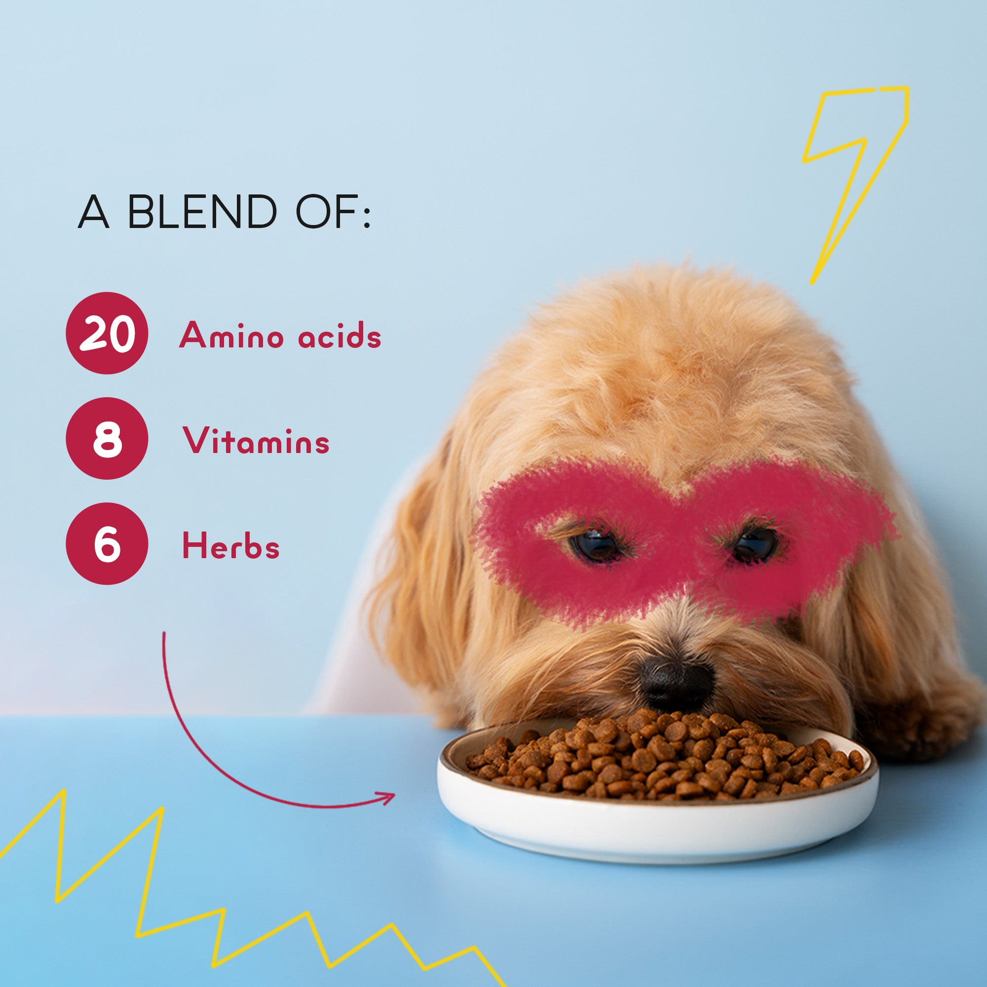 Yummytails Chicken and Fish Premium Adult Medium and Large Dog Dry Food image 10