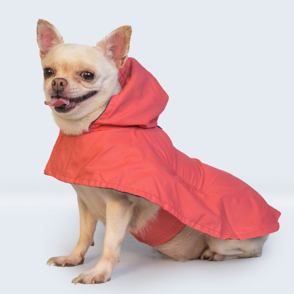 Pet Set Go Cape Style Raincoat for Dogs (Red) image 8