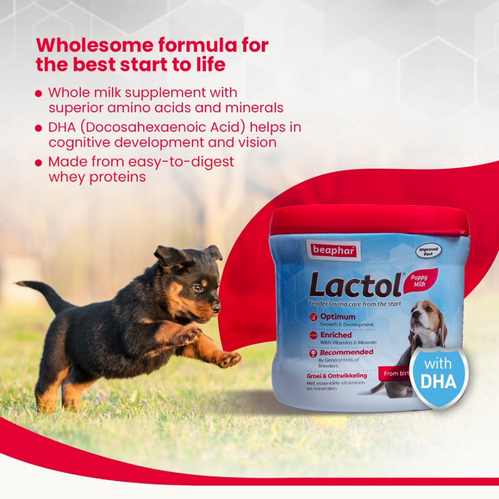 Beaphar Lactol New Born Milk Replacement Powder for Puppies image 5