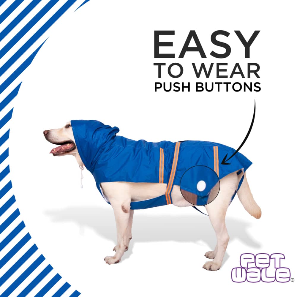 PetWale Reflective Raincoat for Dogs (Royal Blue) image 2