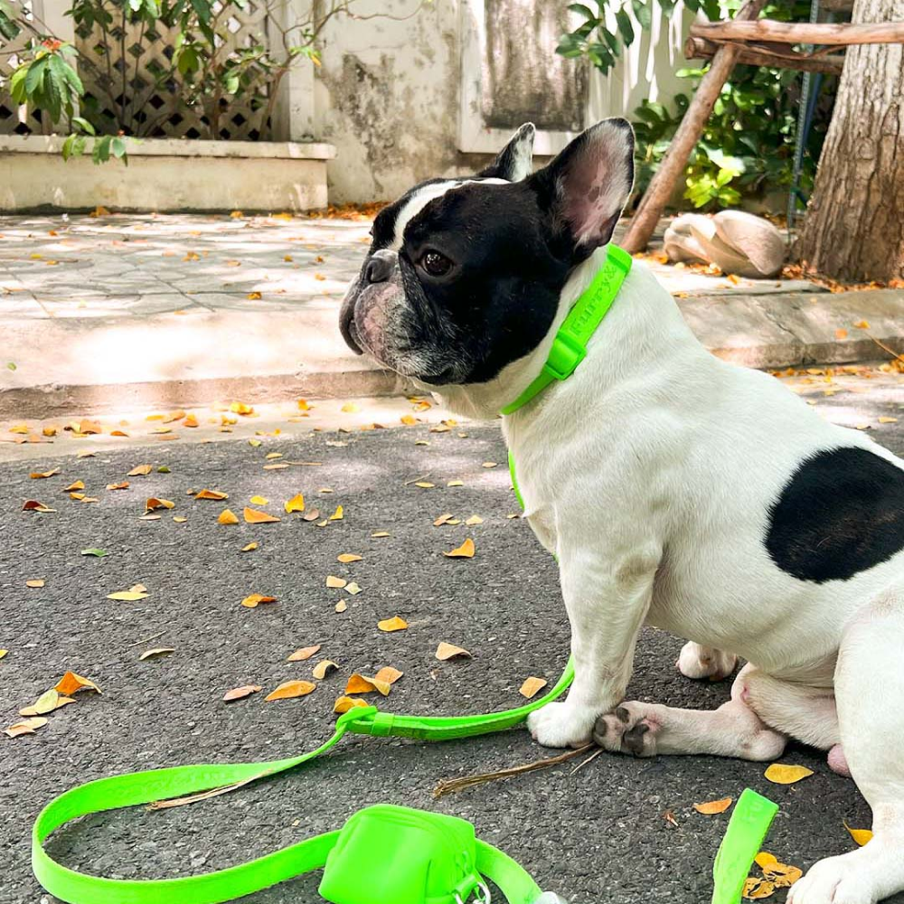 Furry & Co Ultra Collar for Dogs (Limelight) image 3