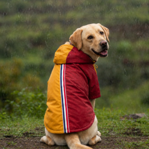 15 Furries Urban Colorblock Waterproof Raincoat for Dogs (Red & Yellow)