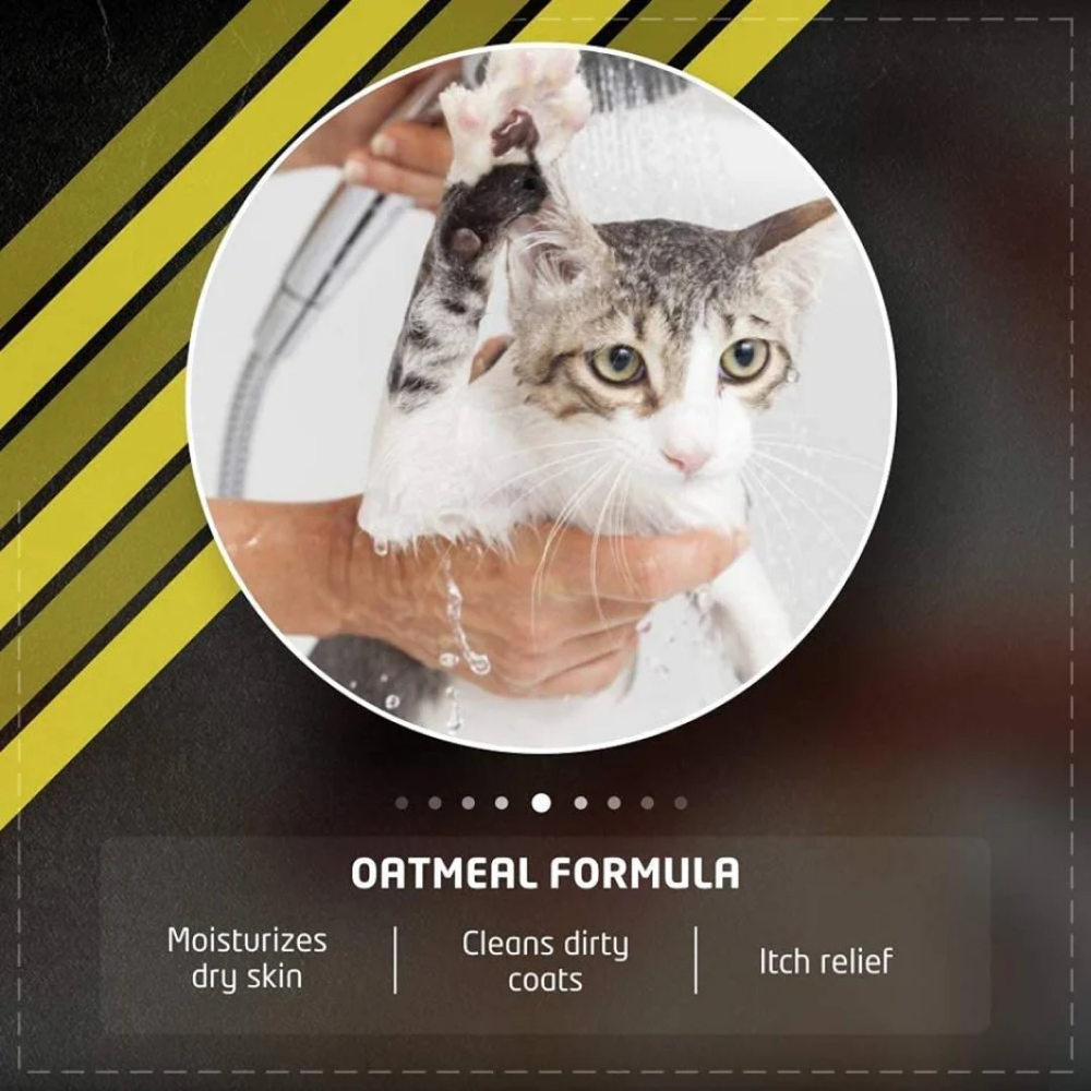 Wahl Oatmeal Shampoo for Cats image 3