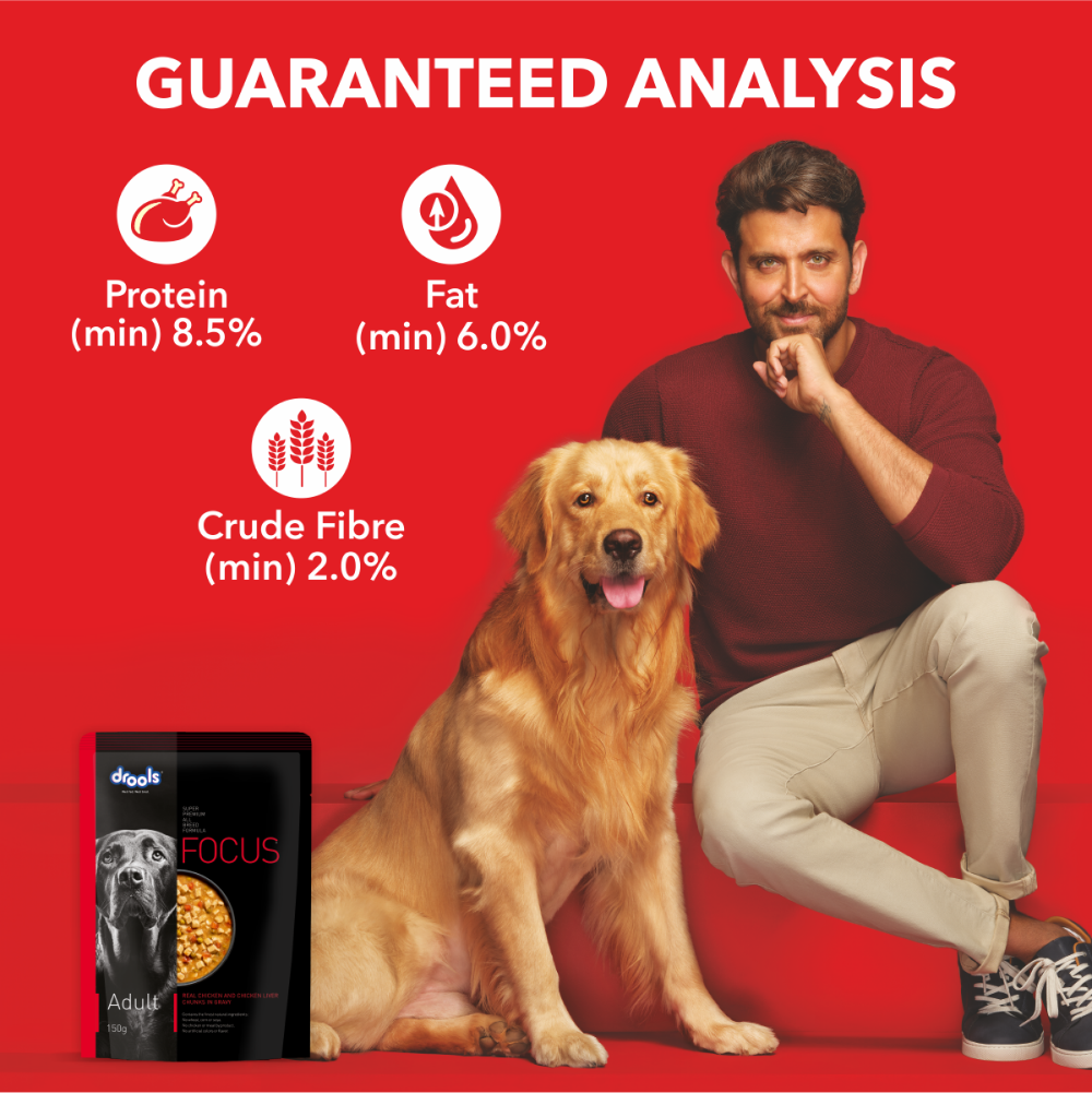 Drools Focus Real Chicken & Chicken Liver Chunks in Gravy Adult Dog Wet Food image 7