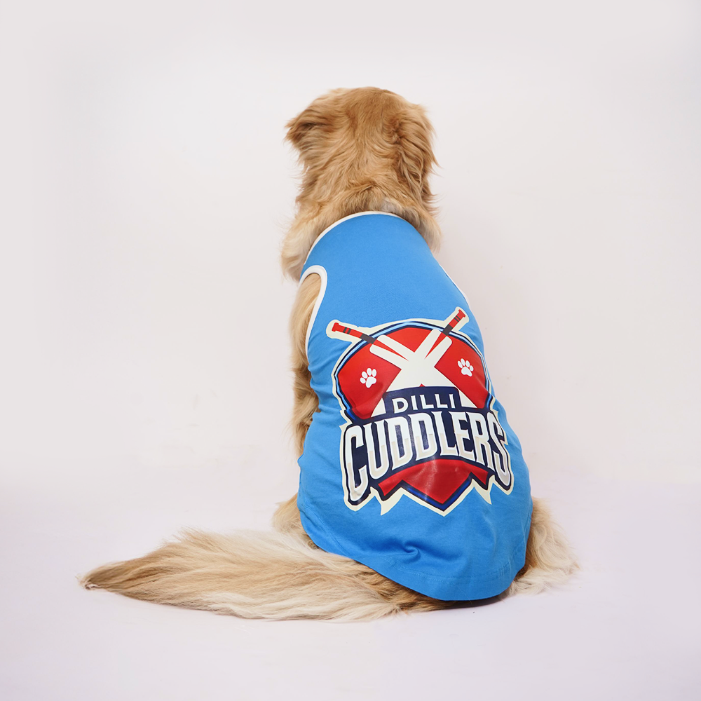 Skatrs Dilli Cuddlers Cricket Jersey for Dogs and Cats (Blue) image 2