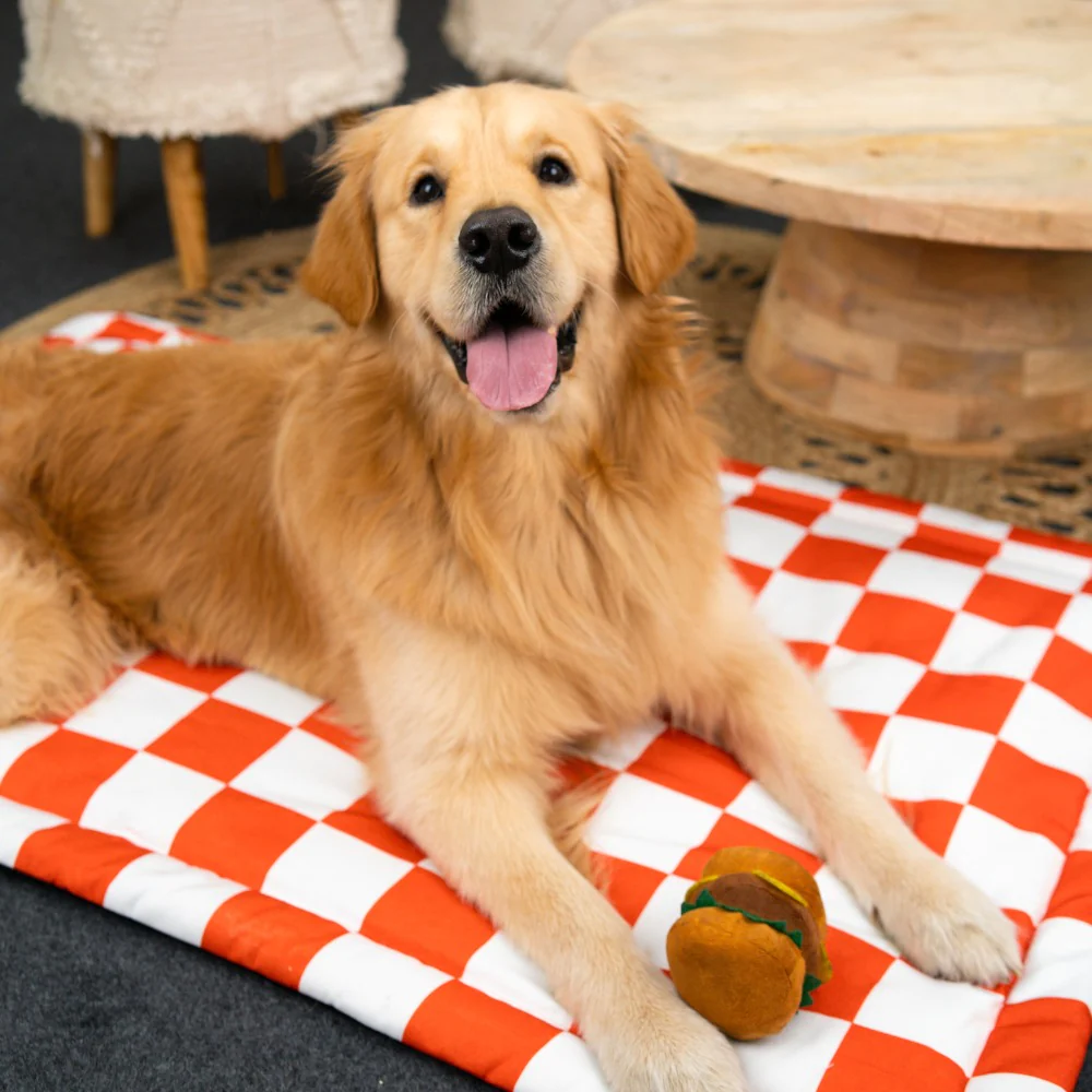 Pet Set Go Cozy Checks Mat for Dogs and Cats (Red) image 6