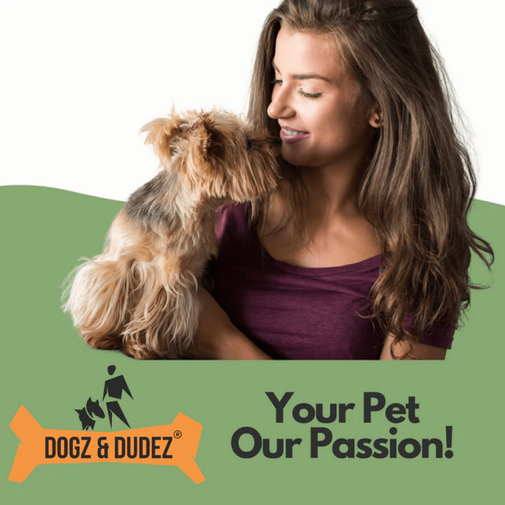 DOGZ & DUDEZ Dry Shampoo for Dogs and Cats image 8