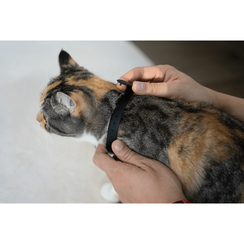 Cheerble Amusing Collar for Cats image 9