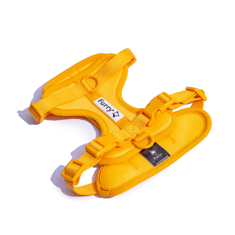 Furry & Co Bold Harness for Dogs (Mango) image 5