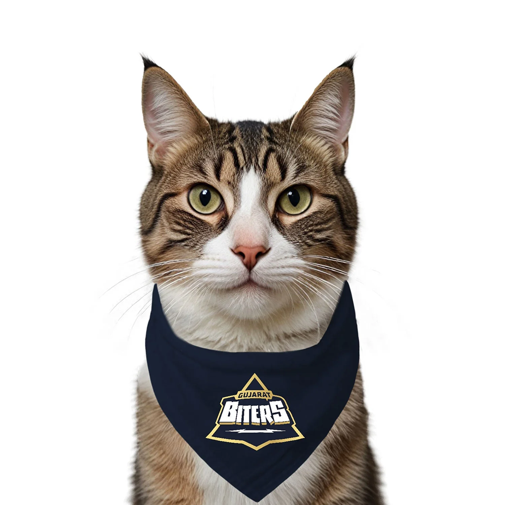 Ruse IPL Gujarat Biters Printed Bandana for Cats (Navy) | Indian Pet League