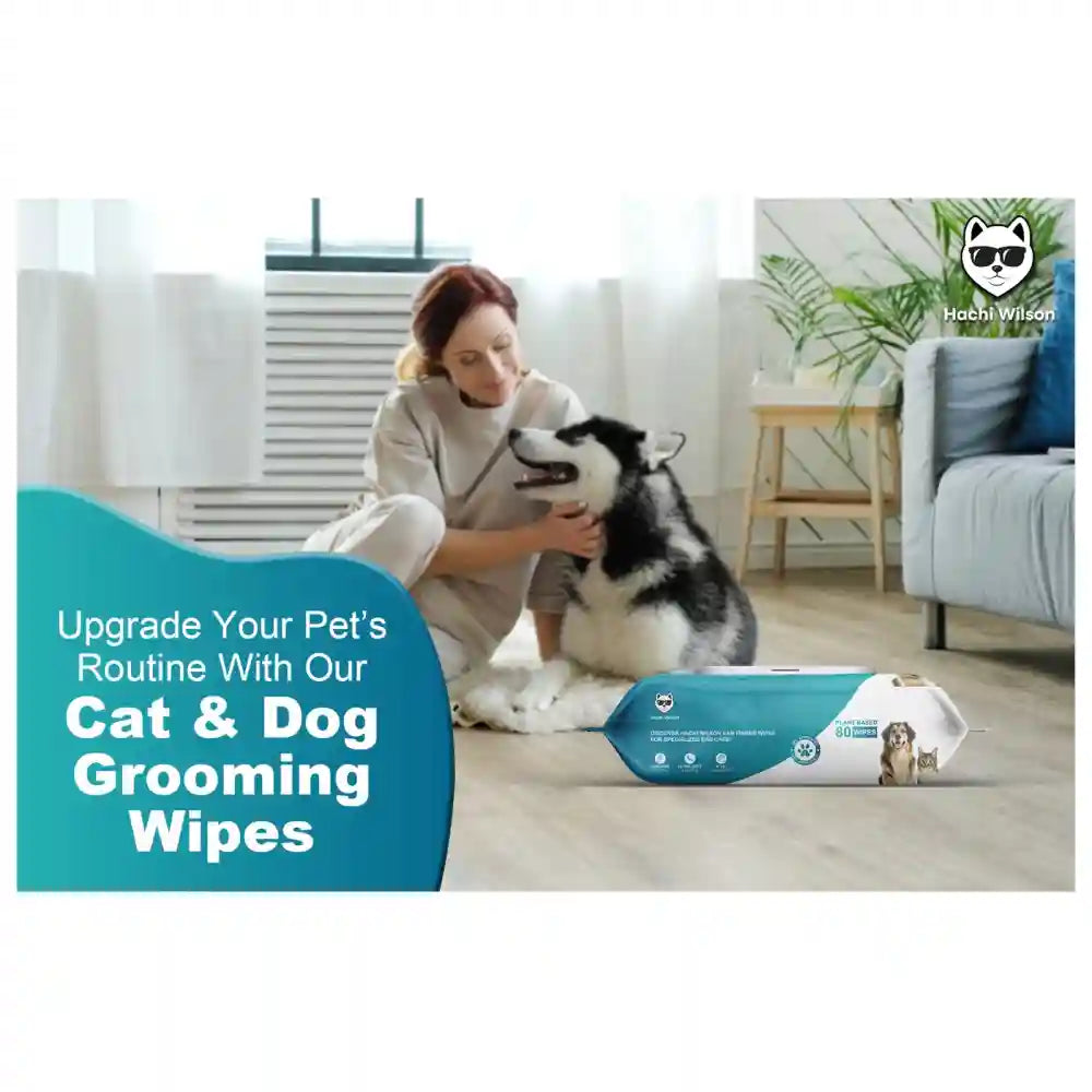 Hachi Wilson Premium Hypoallergenic Plant Based Wipes for Dogs and Cats image 5