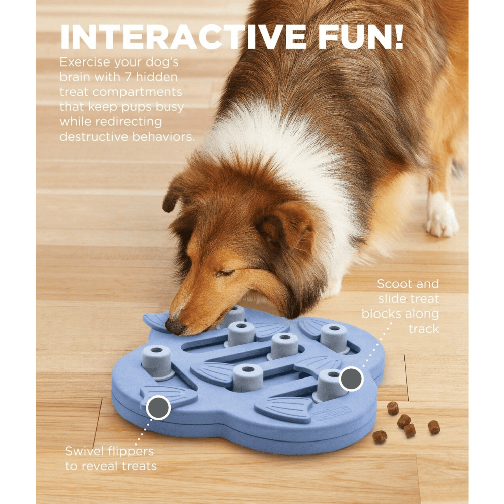 Outward Hound Nina Ottosson Hide N Slide Dog Puzzle for Dogs (Level 2 Intermediate) (Brown) | For Soft Chewers image 6