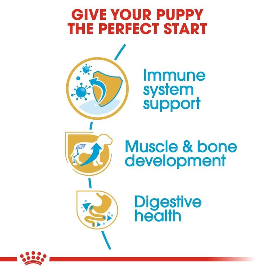Royal Canin Rottweiler Puppy Dog Dry Food image 2