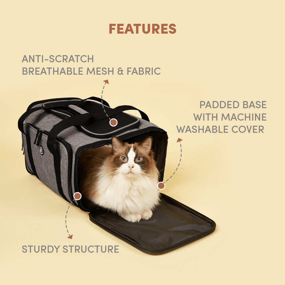 Barkbutler x Fofos Expandable Foldable Carrier for Dogs and Cats (Grey) image 3