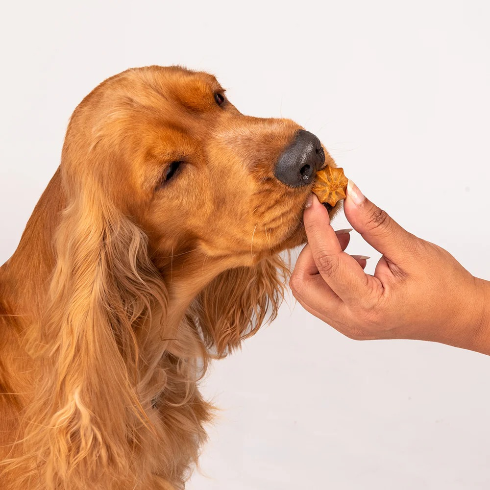 HUFT Gluten Free Goat Milk & Blueberry Cookie Dog Treats image 9