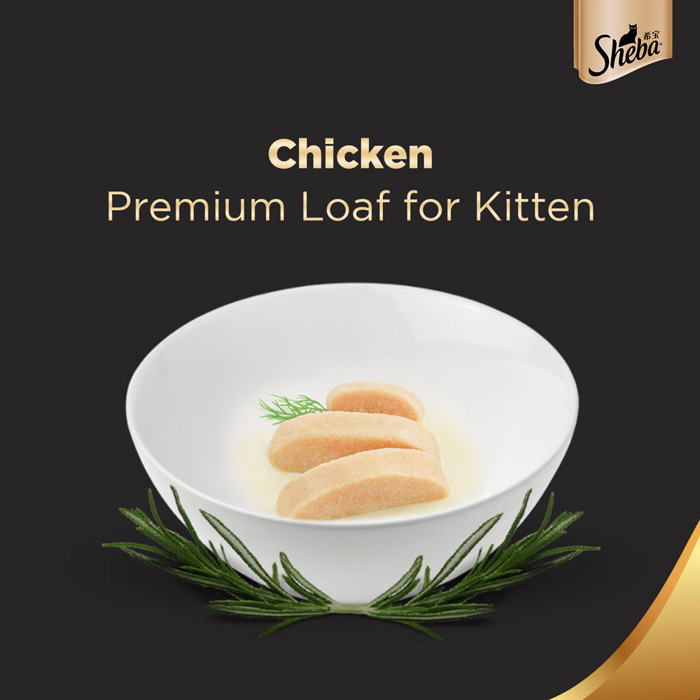 Sheba Chicken Loaf Rich Premium Kitten (2 to 12 Months) Fine Wet Food and Irresistible All Life Stage Cat Dry Food Combo image 7
