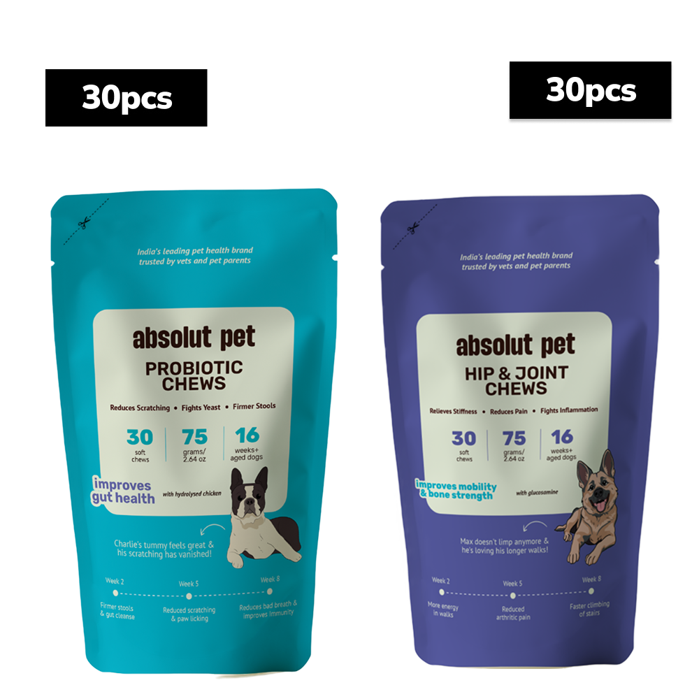 Absolut Pet Probiotics Gut &  Hip and Joint Care Health Dog Supplements Combo