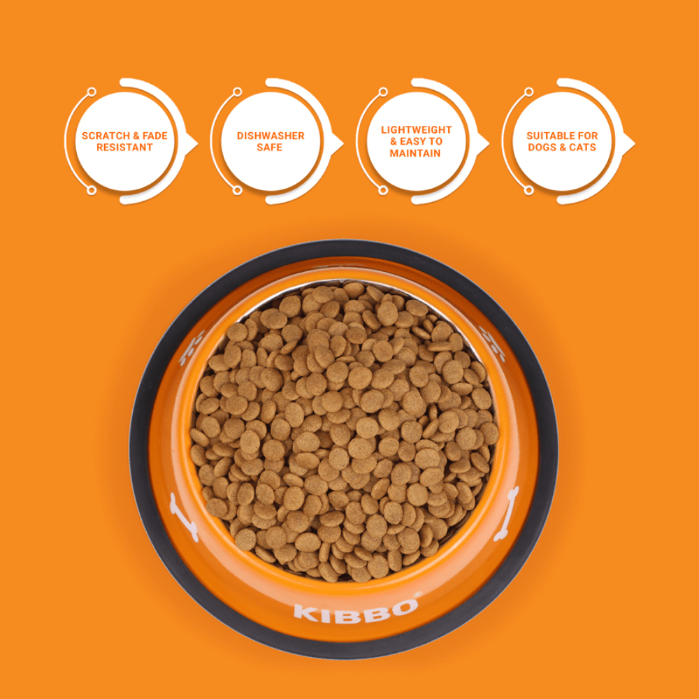 Kibbo Anti Skid Stainless Steel Plain Bowls for Dogs and Cats (Orange, Green, Blue) image 2