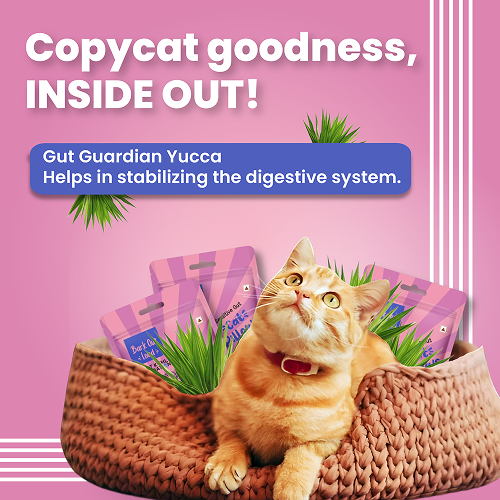 Bark Out Loud by Vivaldis Pillows for Sensitive Gut Cat Treats image 3