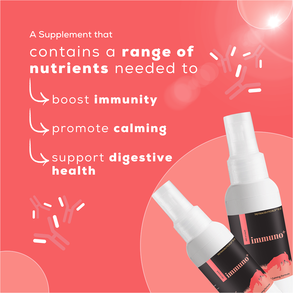 Venttura Immuno Plus Immunity Booster Spray for Dogs image 5