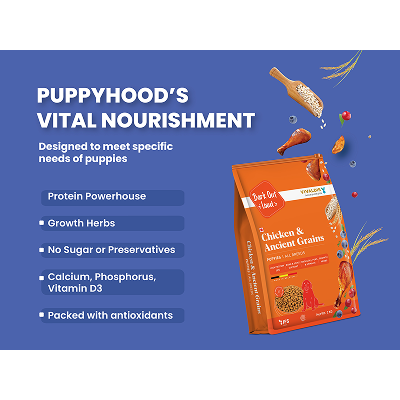 Bark Out Loud Chicken & Ancient Grains Puppy Dry Food image 2