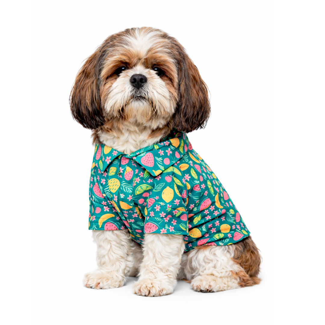 Pawgypets Fruity Casual Shirt for Dogs (Green)