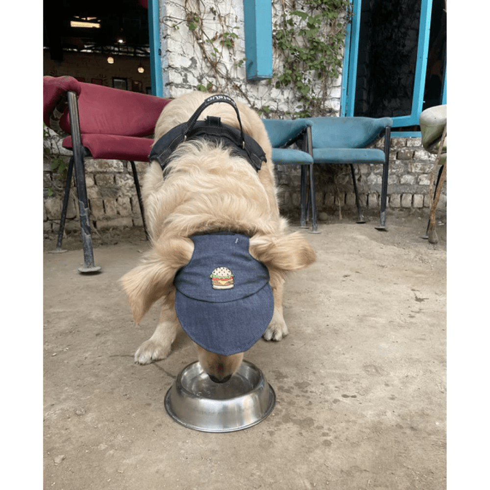 Pawgypets Cap for Dogs and Cats (Denim) image 3