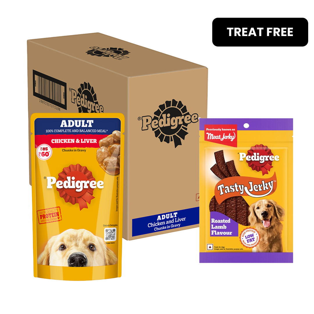 Pedigree Chicken and Liver Chunks in Gravy Adult Dog Wet Food (130g) image 2