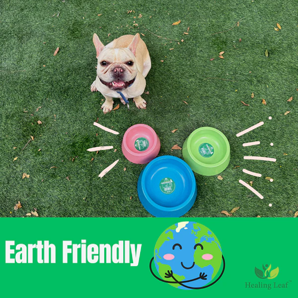 Healing Leaf Eco Friendly Bamboo Bowl for Dogs and Cats (Yellow) image 7