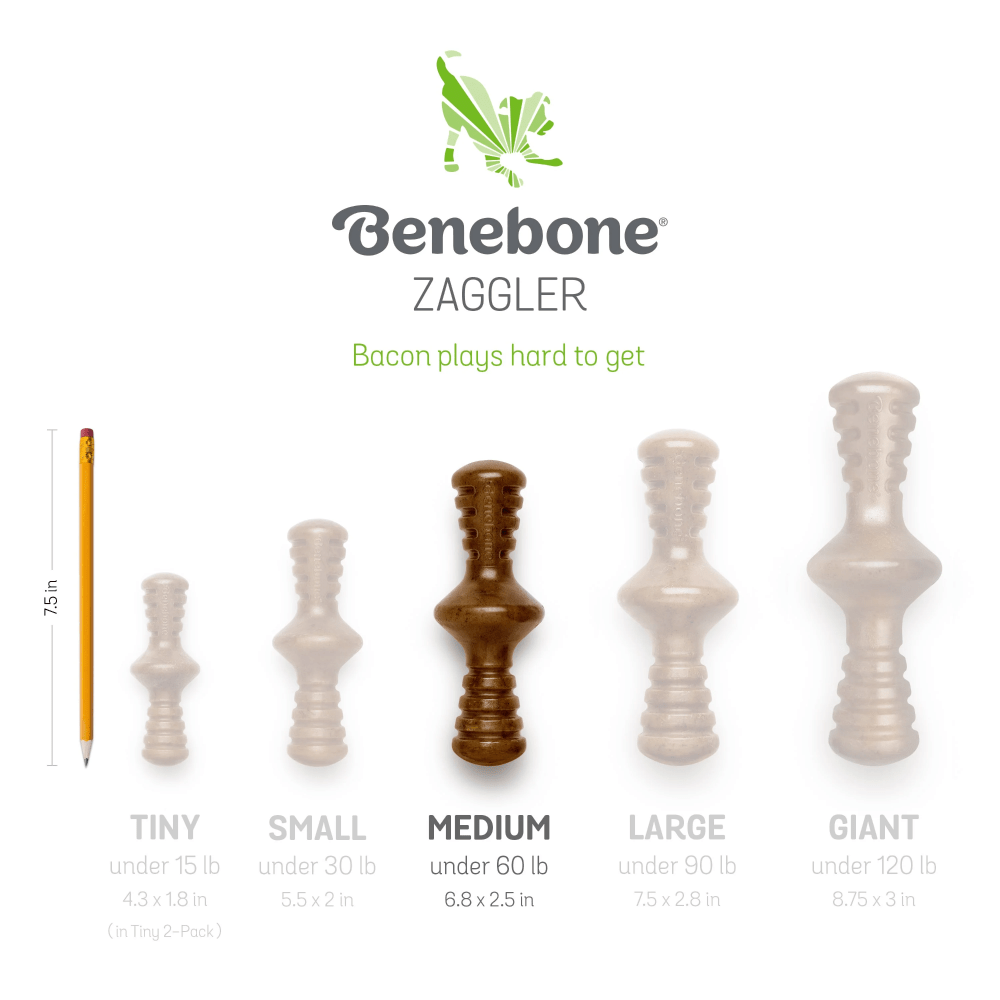 Benebone Bacon Butter Flavored Zaggler Rolling Chew Toy for Dogs image 4
