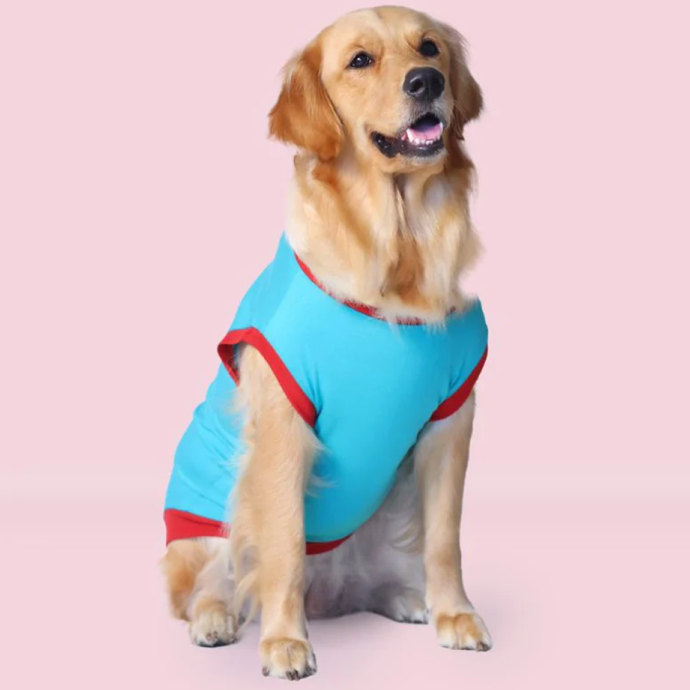 Pet Set Go Favourite Child Tshirt for Dogs (Blue) image 3
