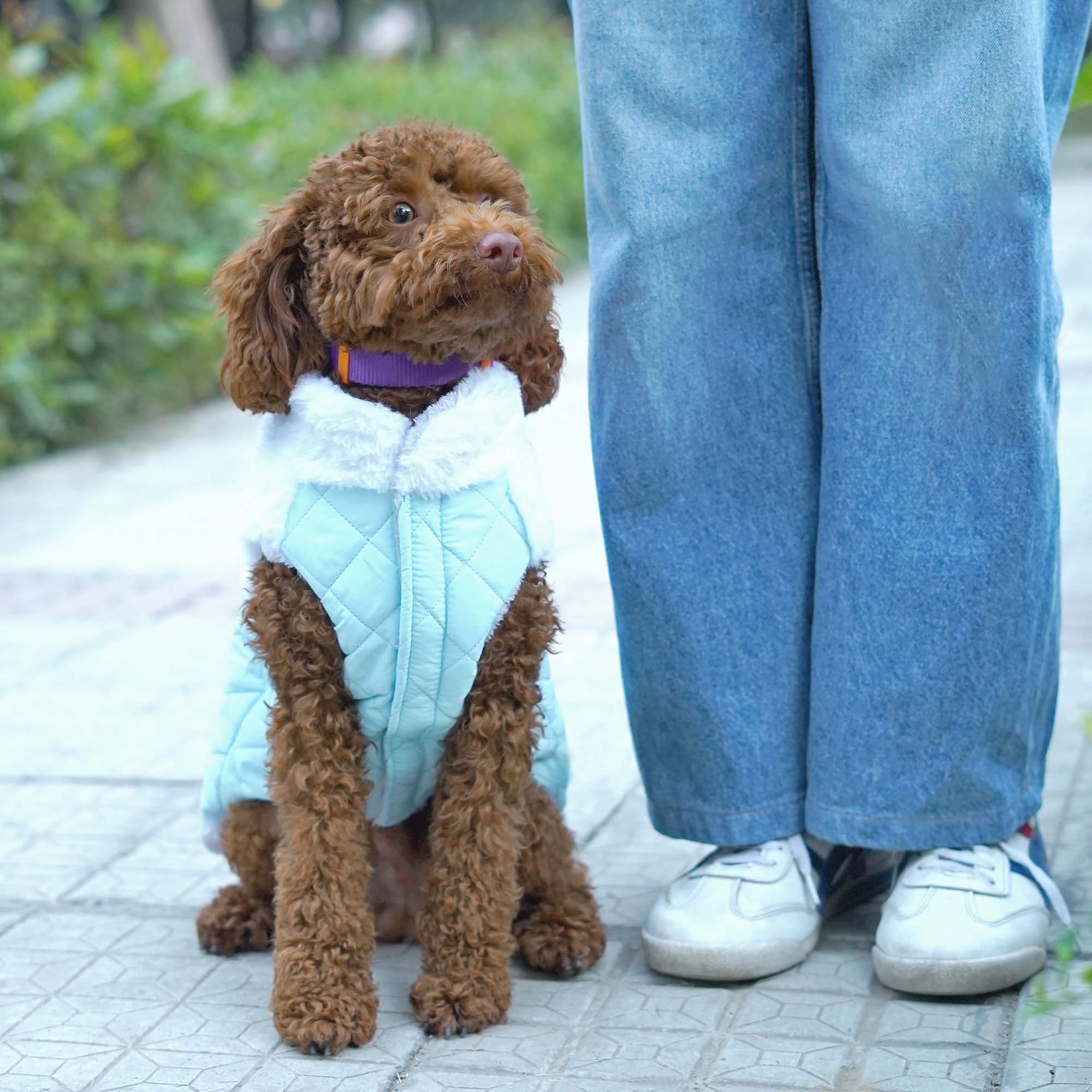 Pets Way Cozyquilt Winter Jacket for Dogs (Sky) image 1