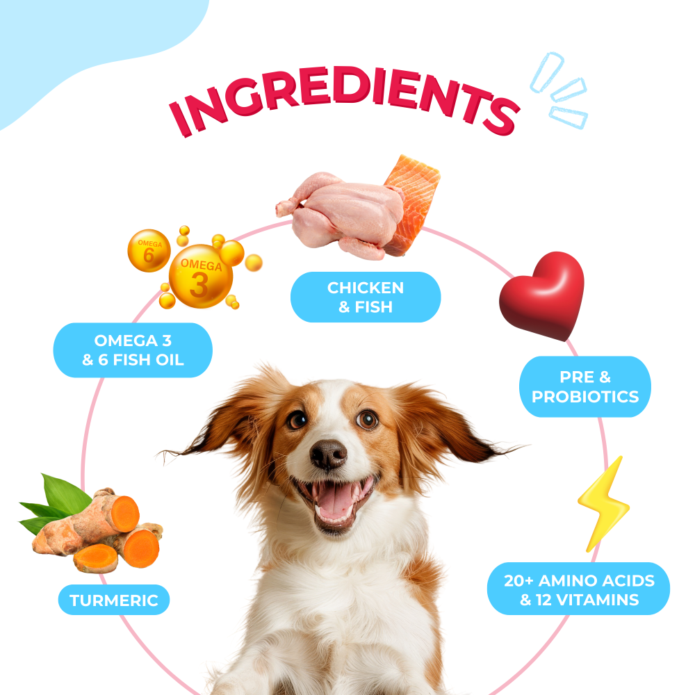 Yummytails Super Premium Mother and Puppy Dry Food | Chicken & Fish Flavor | Corn and Soya Free Formula image 2