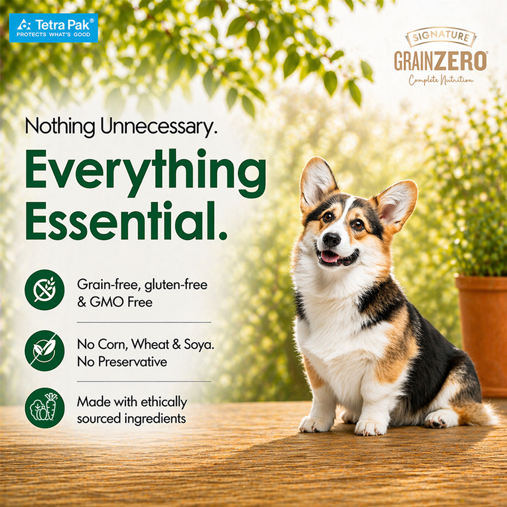 Signature Grain Zero Tetra Pack Real Lamb and Fresh Veggies Dog Fresh Food image 4