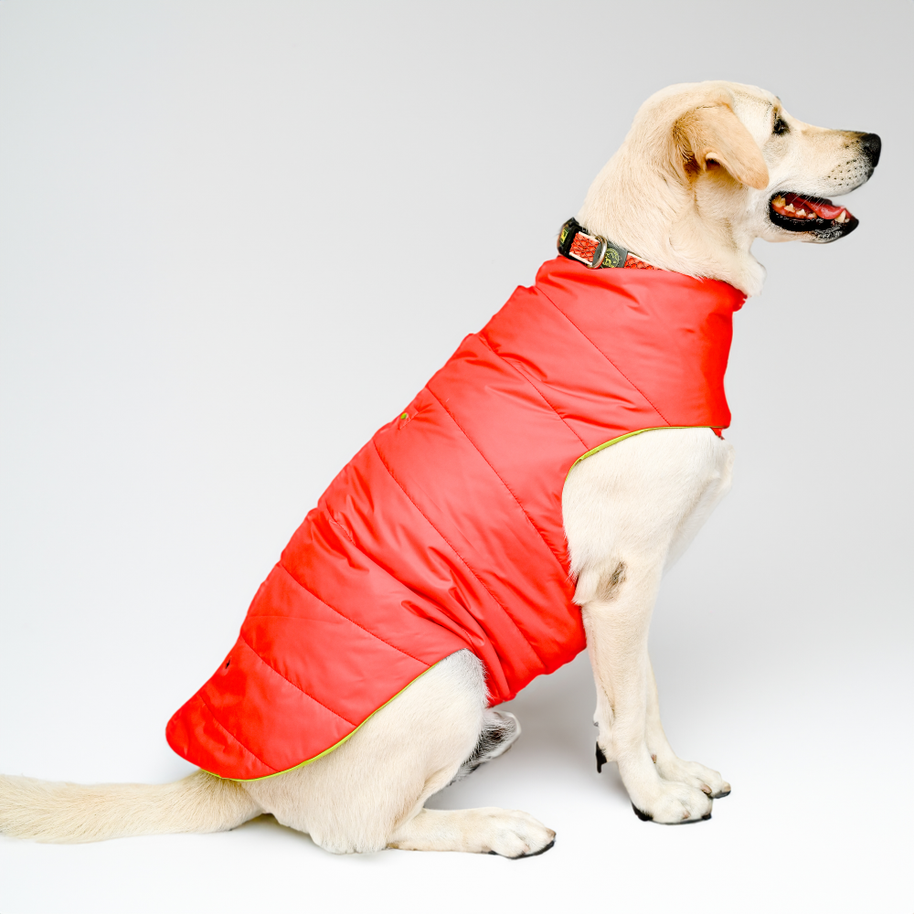 Skatrs Coral Red Puffer Reversible Jacket for Dogs and Cats | With Adjustable Baby Velcro image 2