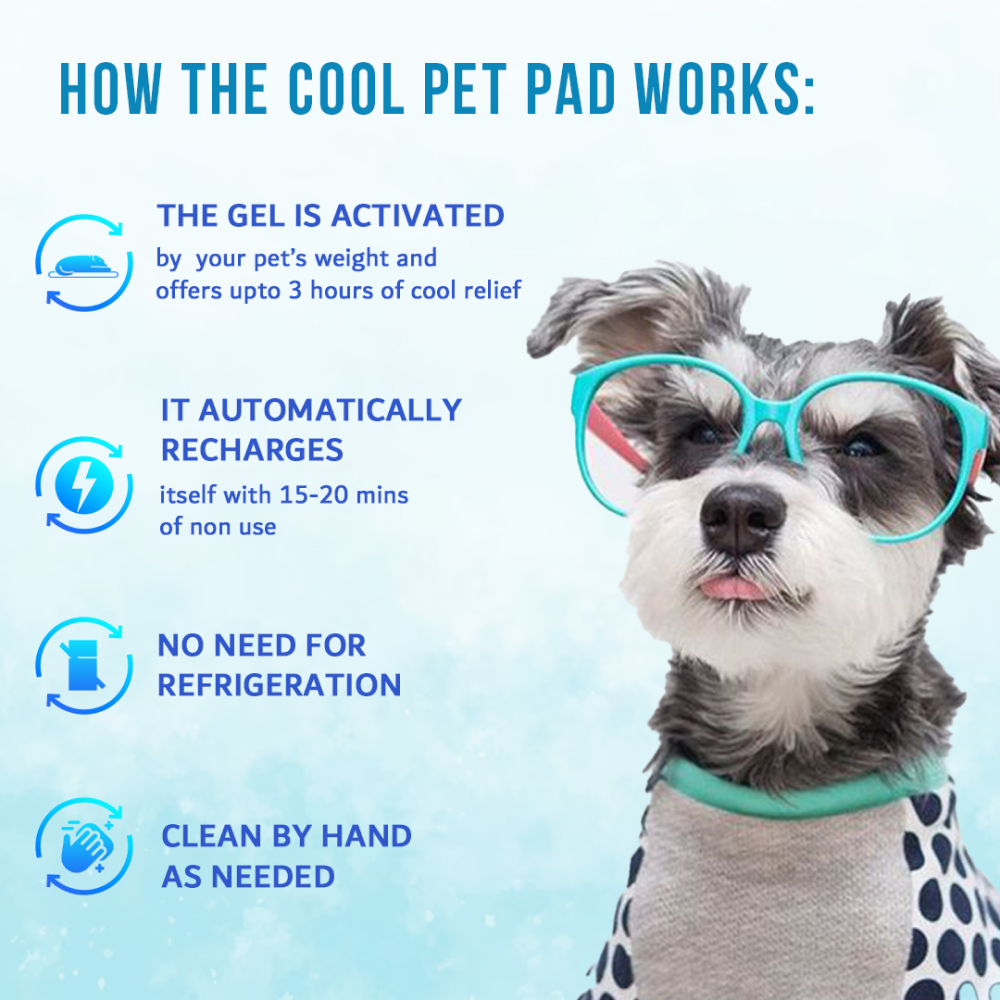 Goofy Tails Pressure Activated Cooling Mat for Dogs and Cats (Blue) image 4