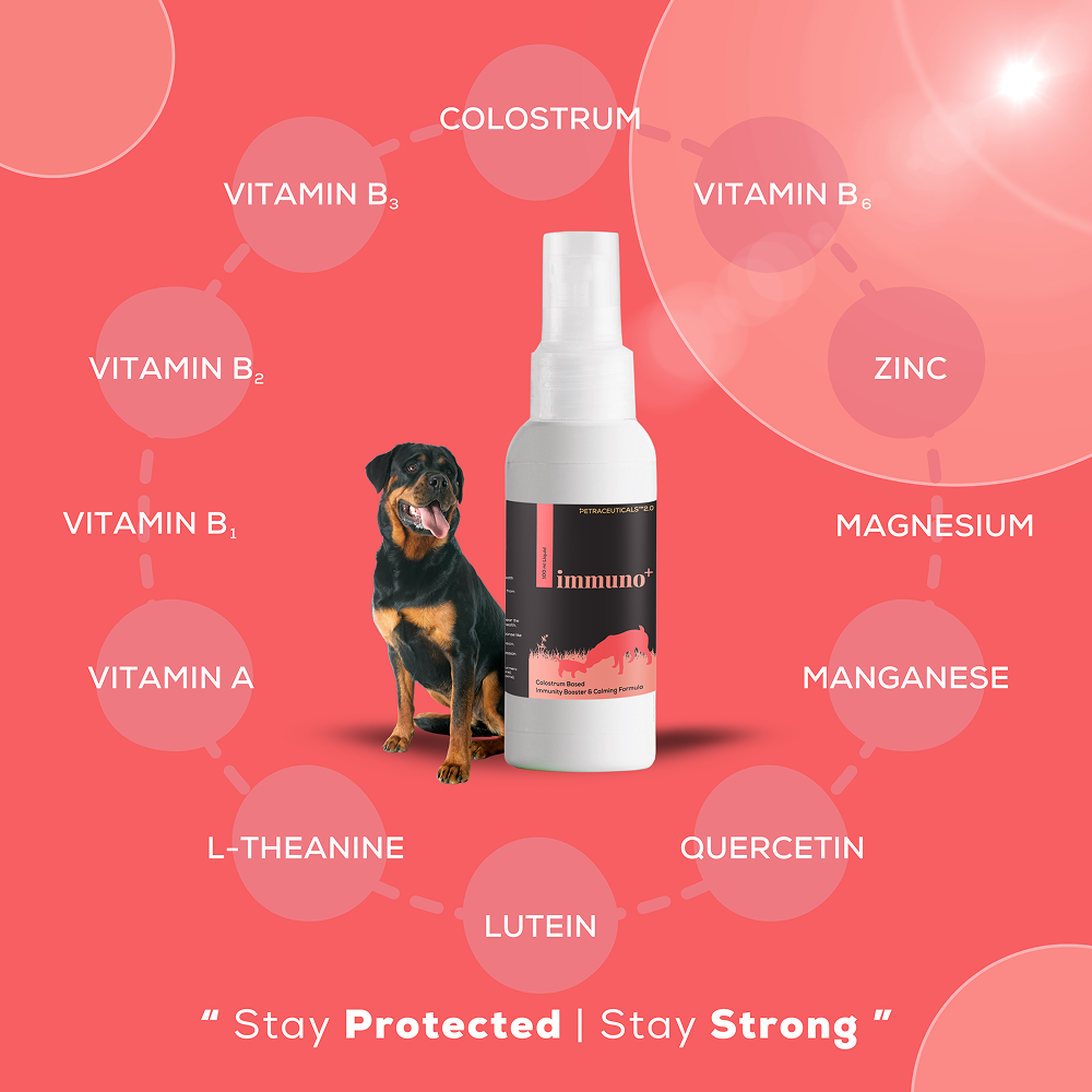 Venttura Immuno Plus Immunity Booster Spray for Dogs image 2