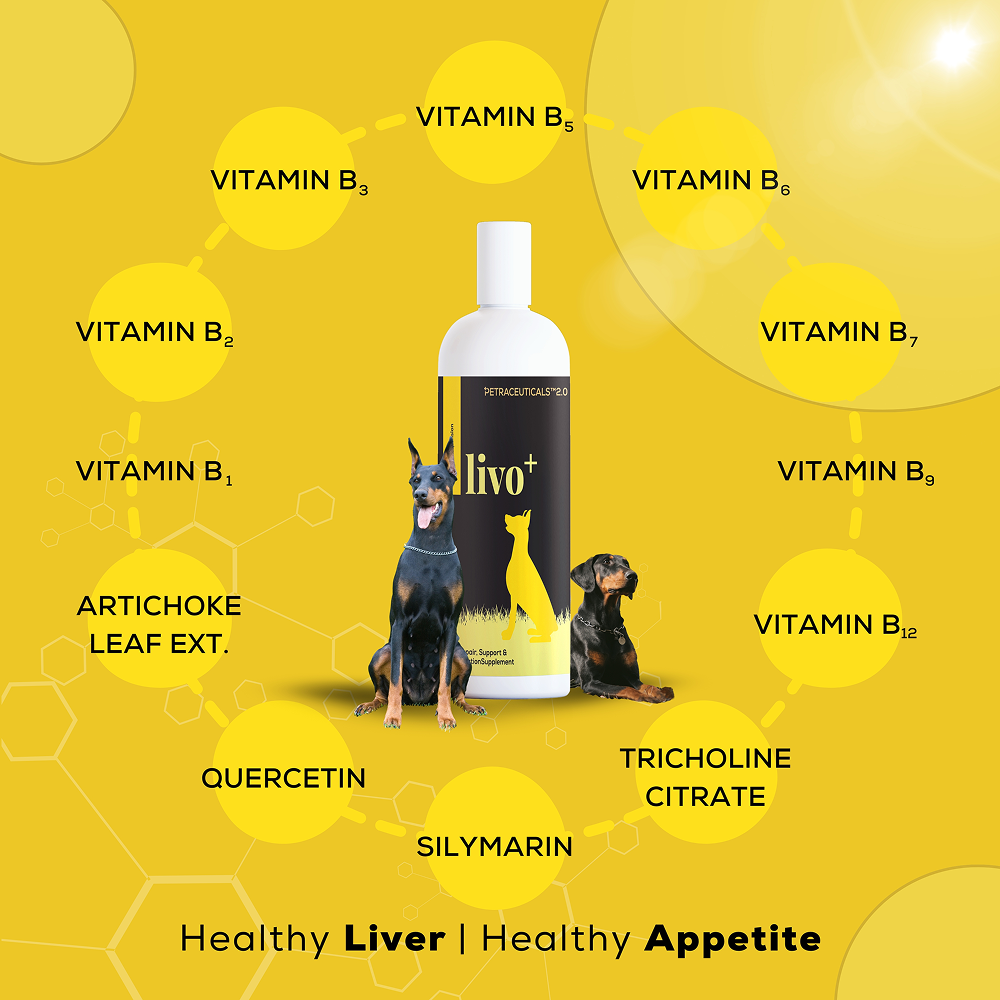 Venttura Livo Plus Liver Supplement Syrup for Dogs image 4