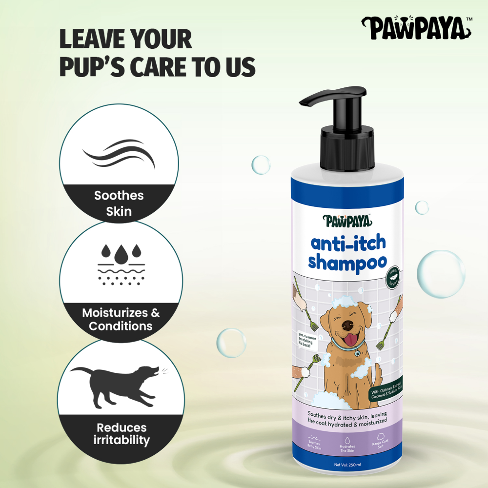 Pawpaya Anti Itch Shampoo for Dogs image 3