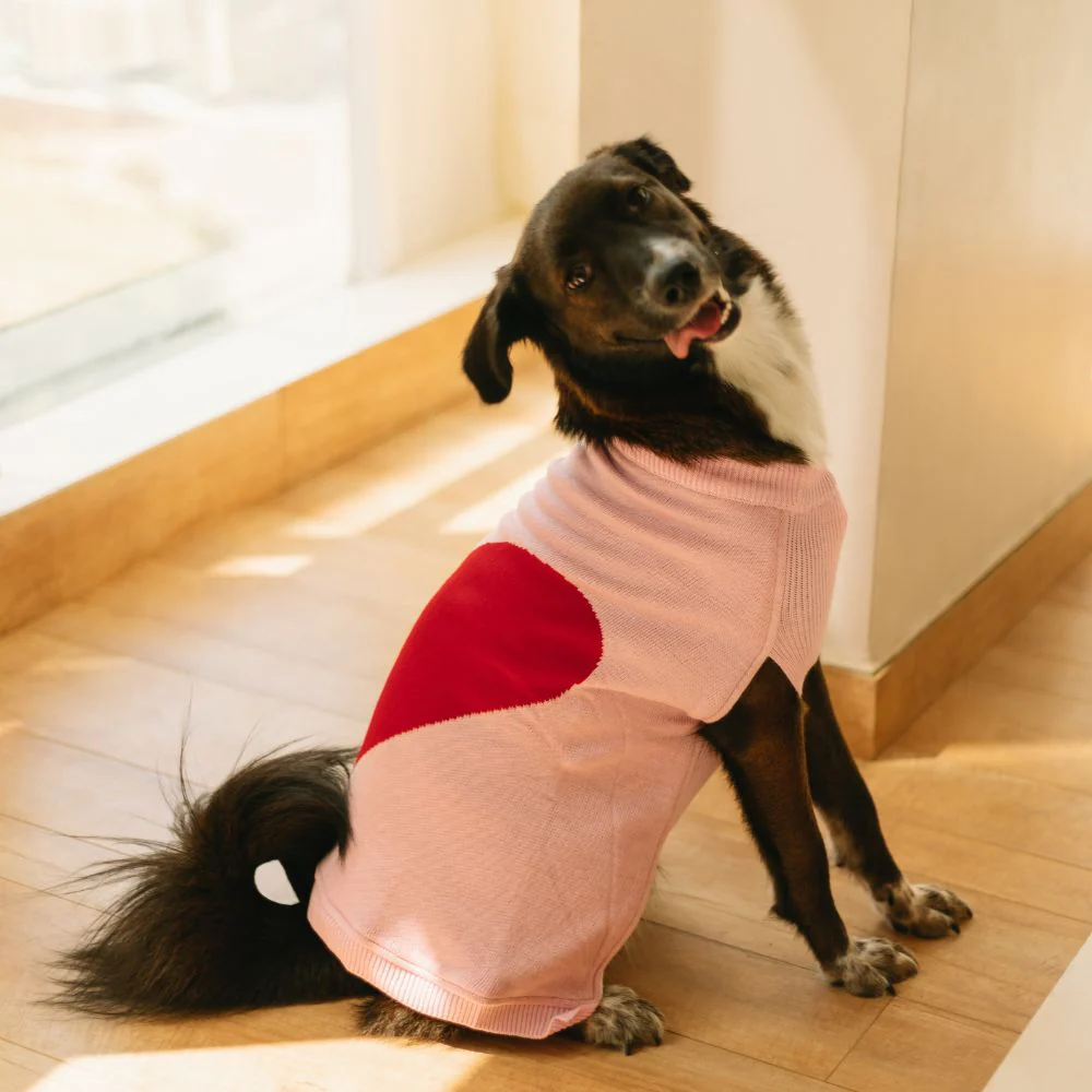 Pet Set Go Ira’s Sweater for Dogs and Cats (Red & Pink) image 6