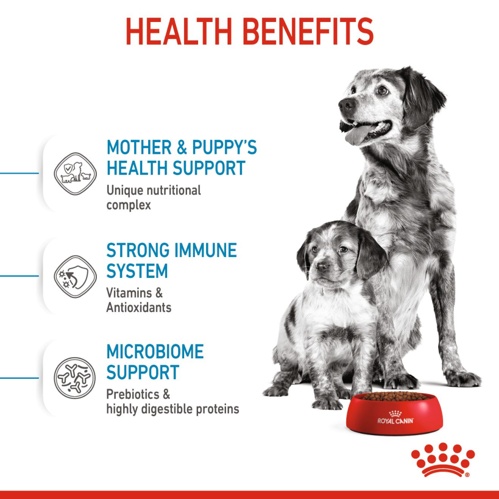 Royal Canin Medium Starter Dry Food for Medium Breed Dog and Puppies image 5