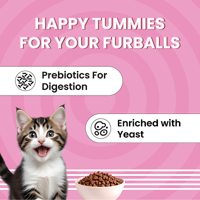 Bark Out Loud Essentials Real Fish Kitten Dry Food image 5