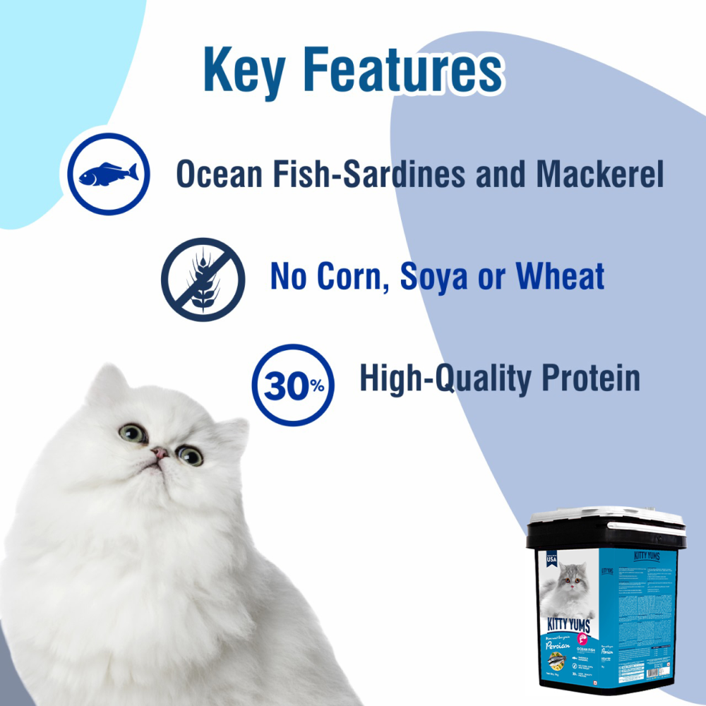 Kitty Yums Ocean Fish Persian Cat Dry Food image 3